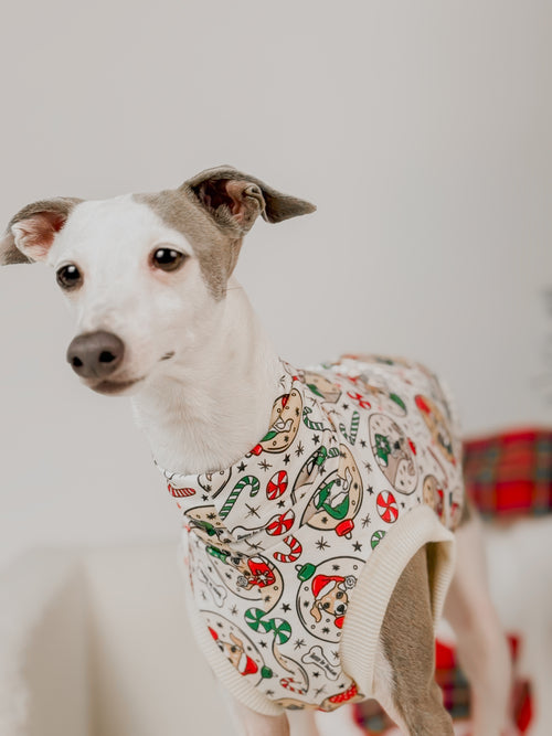 Boston's Christmas Sweater - Sleeveless Crop