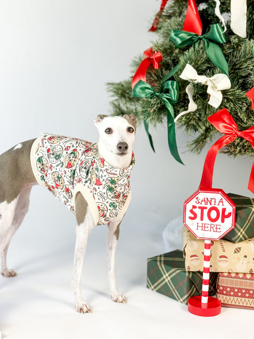 Boston's Christmas Sweater - Sleeveless Crop