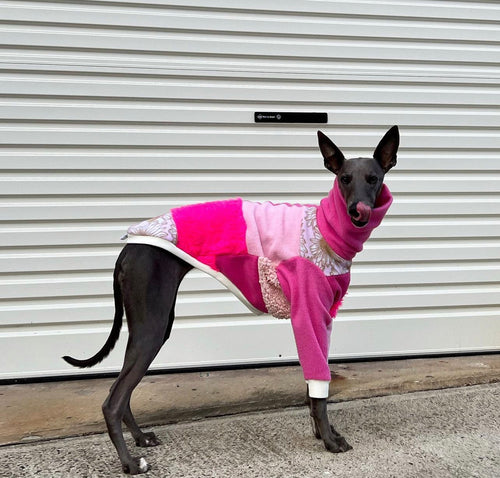 Bossy Customised: Sighthound