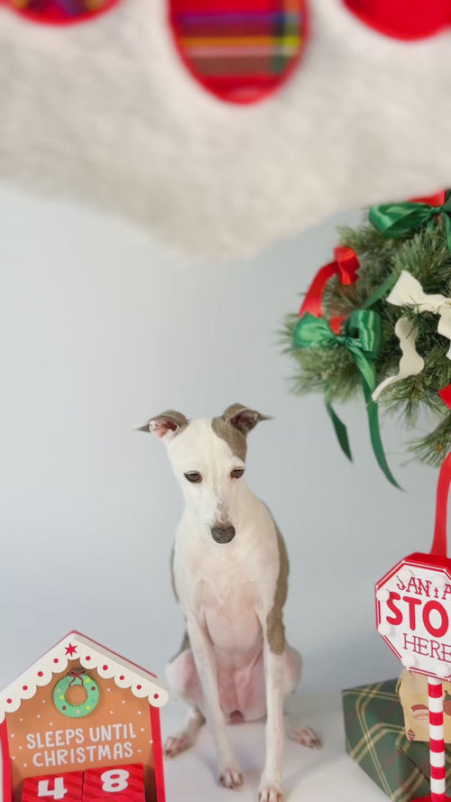 Bossy's Christmas Stocking