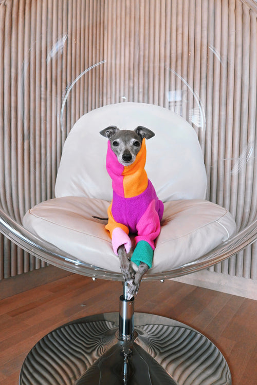 Bossy Customised: Sighthound