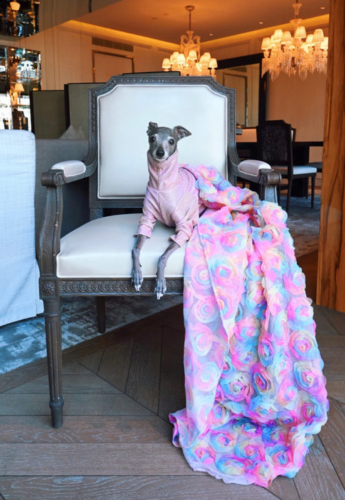 Bossy Customised: Sighthound