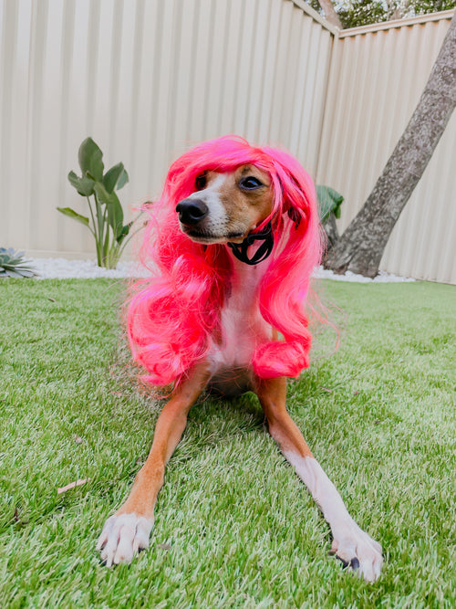 DOG WIG: Pink Sugar